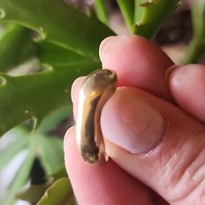 Cashmere Cactus Modern Brass Ring